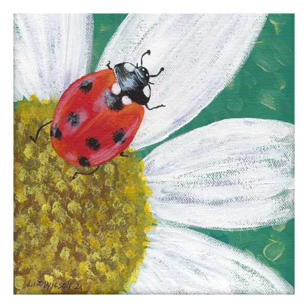 Lady Bird On Daisy