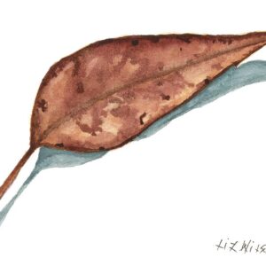 Leaf