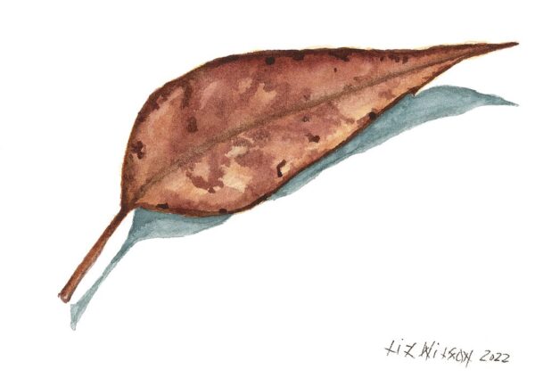 Leaf