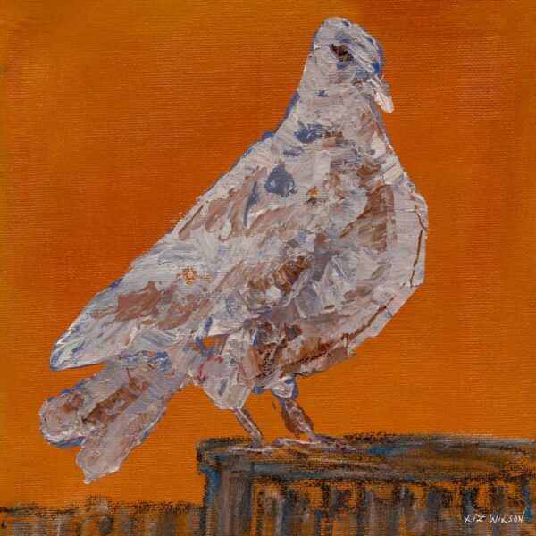 Liz-Wilson-Dove-30x30cm-Paper