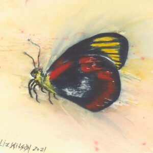 LizWilson-Butterfly-A4-Paper