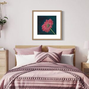 Magenta-Gerbera-frame1