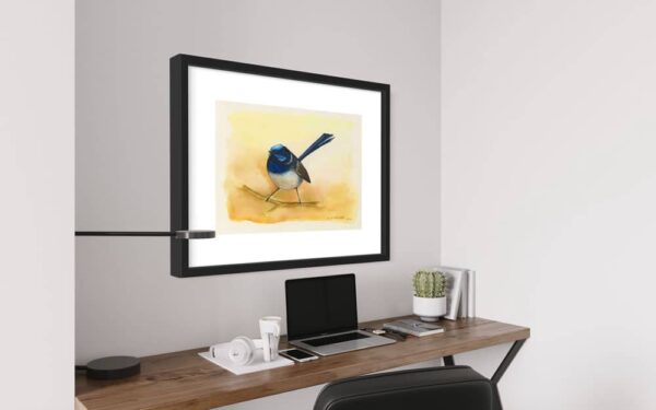 blue-fairy-wren-frame1