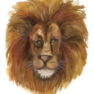 Liz Wilson-Lion2-A4-Paper