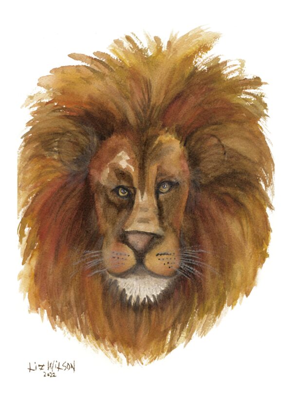 Liz Wilson-Lion2-A4-Paper